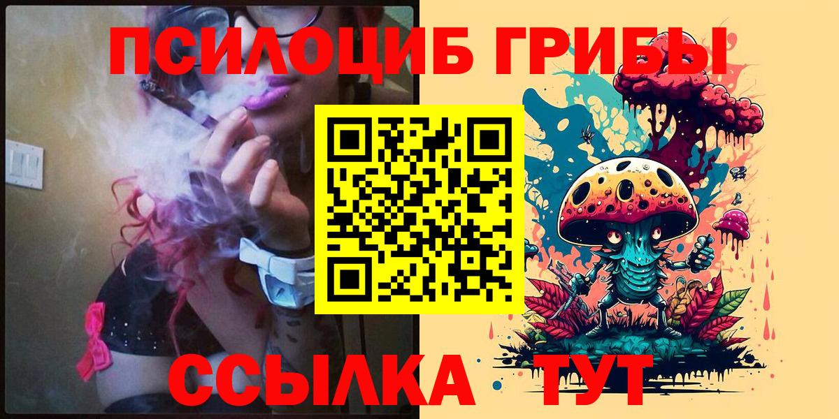Псилоцибиновые грибы Cubensis  Вход с VPN  Курчатов 